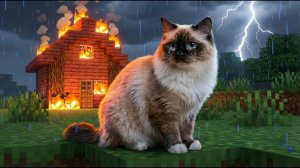 КОШКА ПОТЕРЯЛА СВОЙ ДОМ В МАЙНКРАФТЕ!