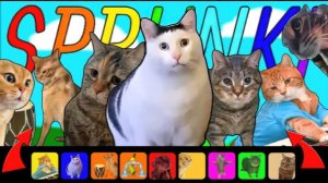 СПРУНКИ КОШЕЧКИ ИЗ МЕМОВ. ОНИ ТАКИЕ МЯУ-МЯУ!!