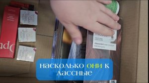 Обзор покупки каталога 6 Орифлэйм