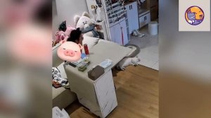 Подборка смешных моментов с питомцами! (22.04.26)