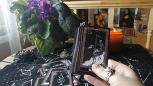 Обзор таро костей