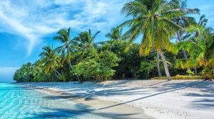 Слушать музыку. Музыка онлайн.