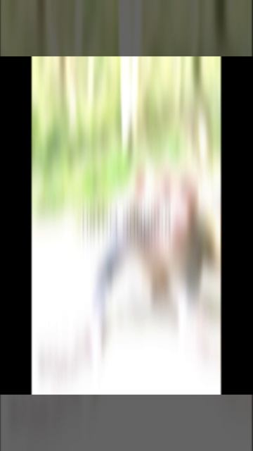 Стык, стык , спать