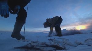 РЫБАЛКА НА СЕТИ. РЯПУШКА ДЕНЬ ВТОРОЙ. УЛОВ ЕСТЬ