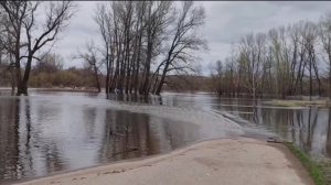 В Уфе подъем уровня грунтовых вод привел к подтоплению территории в СНТ «Молодость»