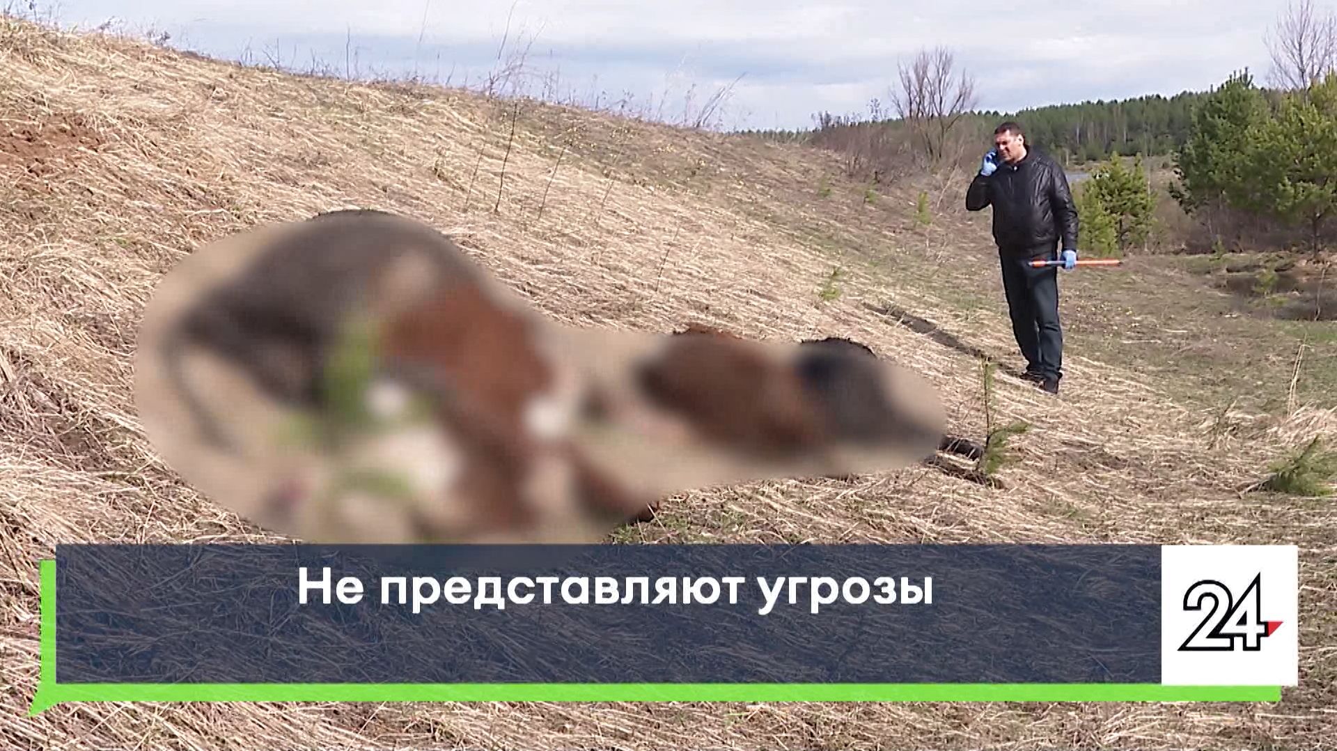 Не представляют угрозы