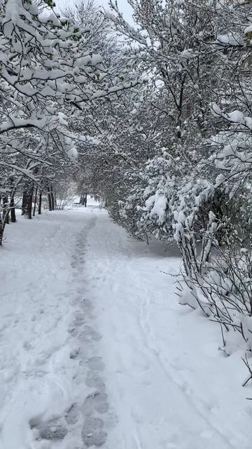 Назад в зиму красота весны от 21 апреля 2026