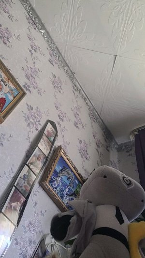 10 серия 2 часть skibidi Ар