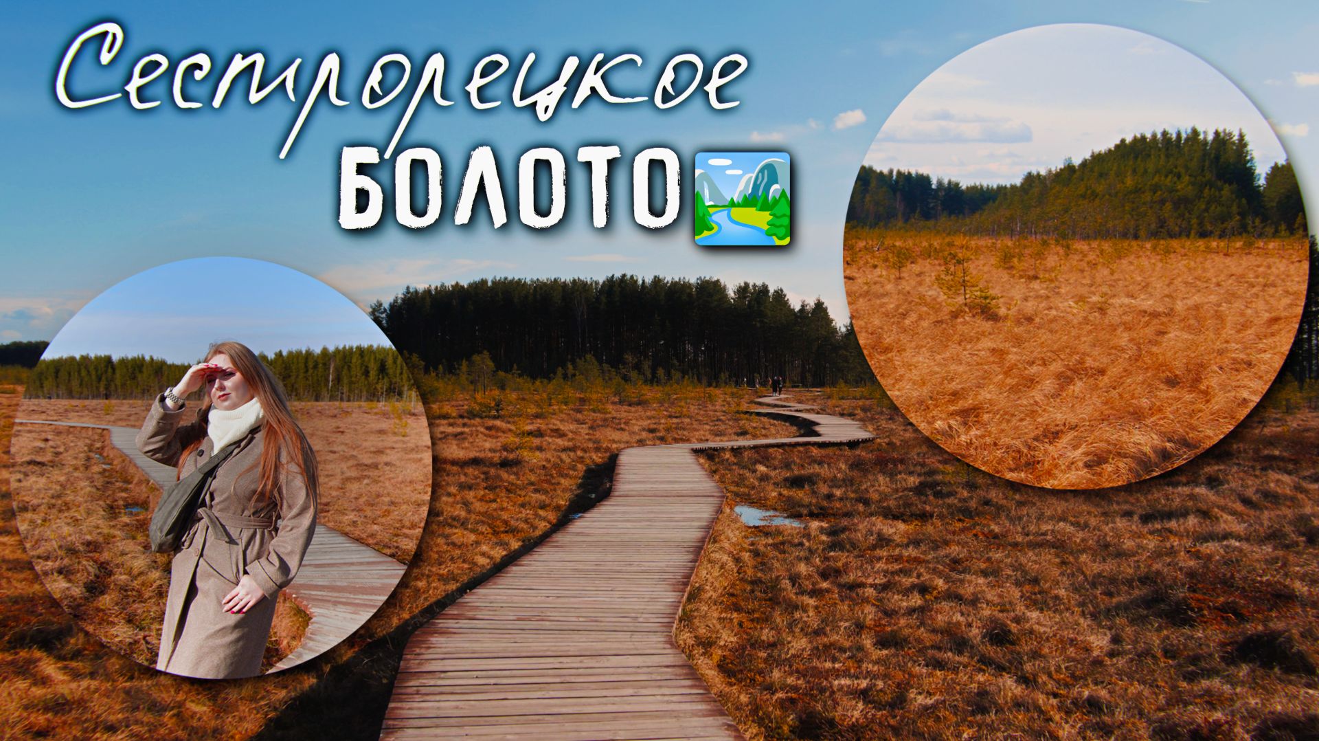 Сестрорецкое БОЛОТО🏞️