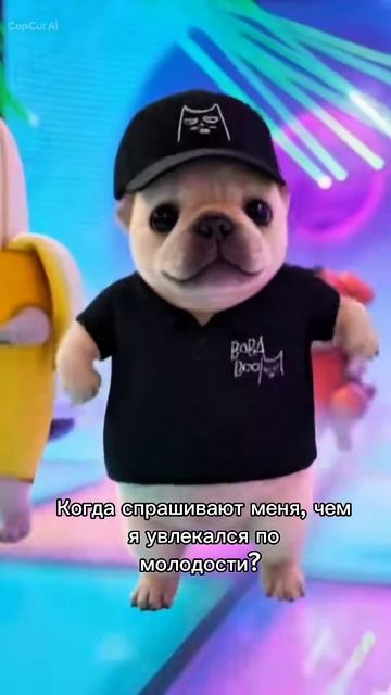 Да чем я только не увлекался
#ответы #вопросы 
#жизненнобывает 
#сосмыслом