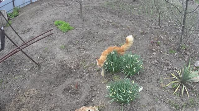 В КОЛОДЕЦ ПО ВОДУ! С ТЯПКОЙ В ОГОРОДЕ!ПРОДАЖА И ОБСЛУЖИВАНИЕ ДВУХ ЗАЖИГАЛОК!УДАЧНЫЕ ПОКУПКИ НА АВИТО