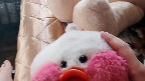 ✨на канале теперь будет уточка лалафан фан ✨