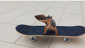 самая смешная зборка