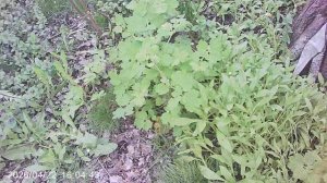 Проверка левой "ветки" поливной системы