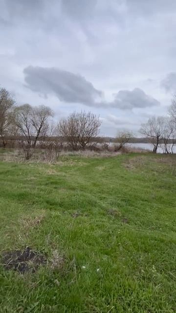 Участок 30 соток на берегу Старооскольского водохранилища