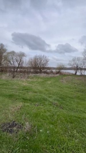 Участок 30 соток на берегу Старооскольского водохранилища