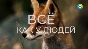 Жизнь в новом нацпарке «Ахар-Бахар». Как его обитатели встречают весну?