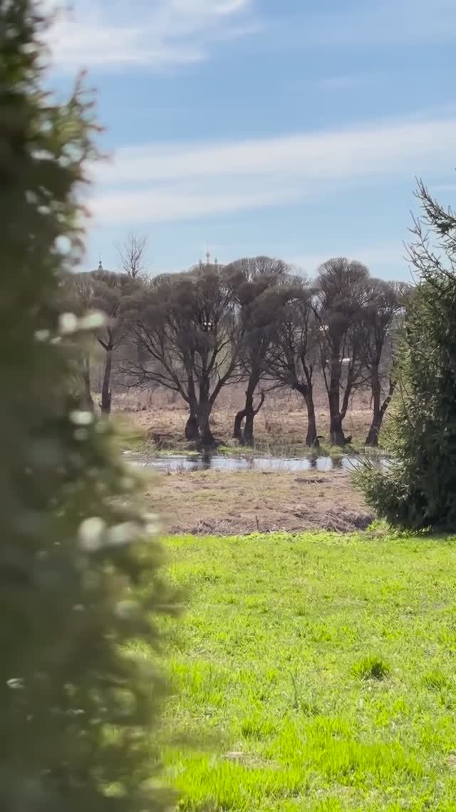 Весна в Вязьме!