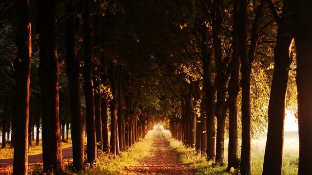 Bruno Bertone Sound Orchester