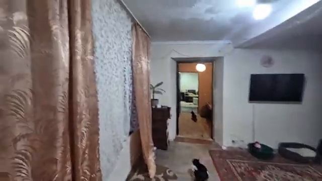 Алиса Неземная - ПОКА НАТАША ГОТОВИЛА УЖИН, Я НАВЕЛА ПОРДОК