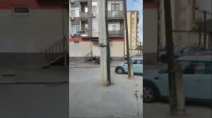 Аня решает где будет похоронен Алеут