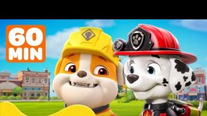 Щенячий патруль. Крепыш и команда