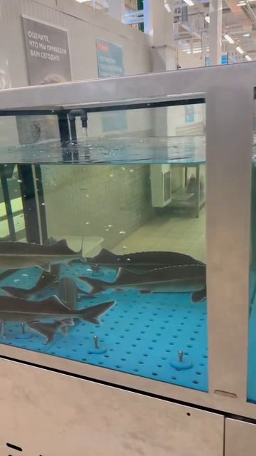 На рыбалку в ТЦ.