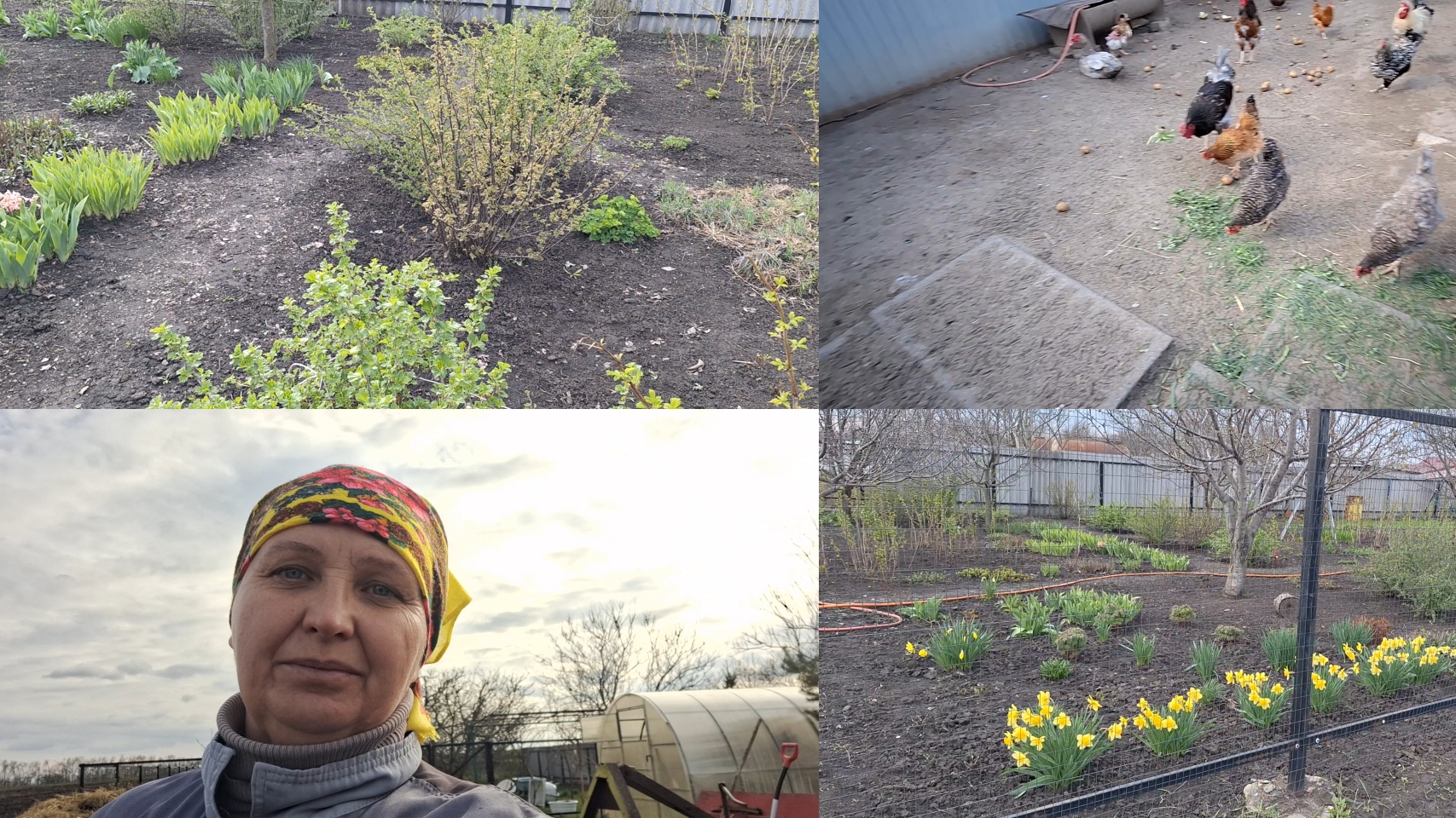 Просто поздороваться. Такая жизнь настала. Жизнь в Деревне