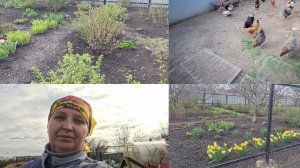 Просто поздороваться. Такая жизнь настала. Жизнь в Деревне