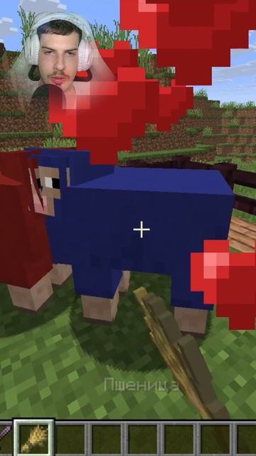 МАЙНКРАФТ — проверяю миф про ФИОЛЕТОВУЮ овцу 🐑💜