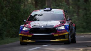 Assetto Corsa Rally (0.3.1) Skoda - Fabia RS Rally2 (2022). ALSACE Steigenbach. 2026.04.22