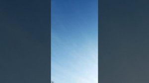 1000017786.mp4