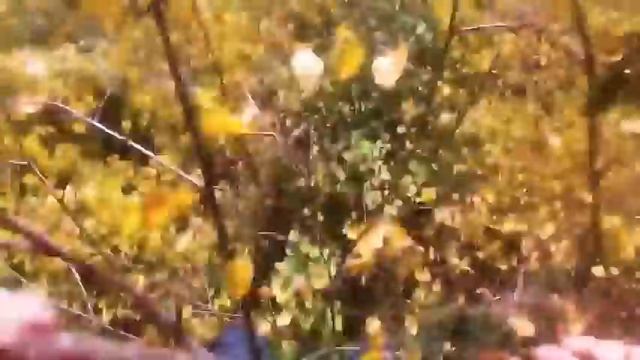 Paragliding accidents