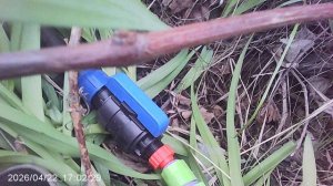 Купил и установил новый кран с быстросъёмом