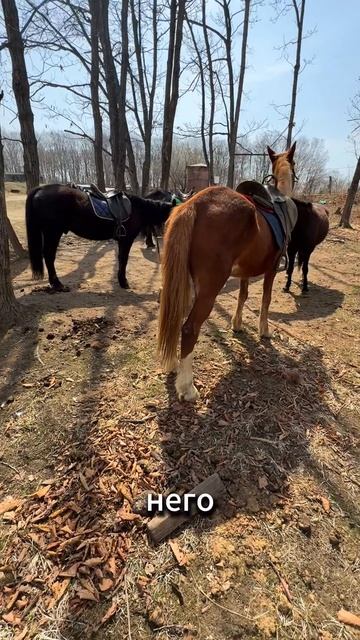 🚗💨 Обзор на новый приход. Владивосток, свежая поставка.
