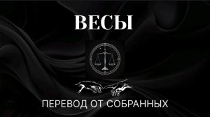 ВЕСЫ. ПЕРЕВОД ОТ СОБРАННЫХ #весы