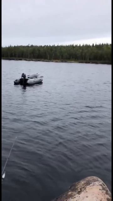 Клип @zatropheem