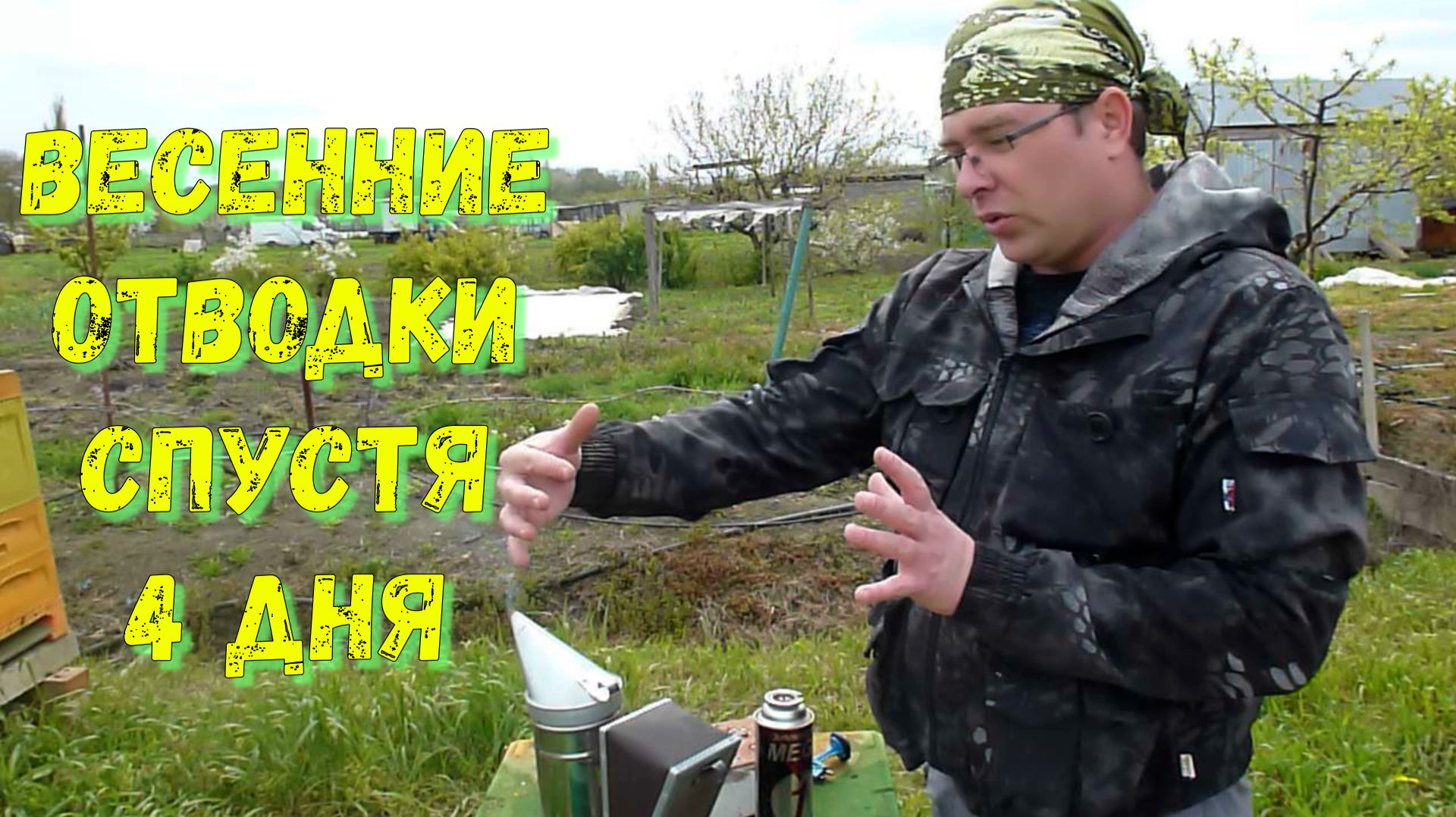 Отводки пчел спустя 4 дня, удаляем маточники.