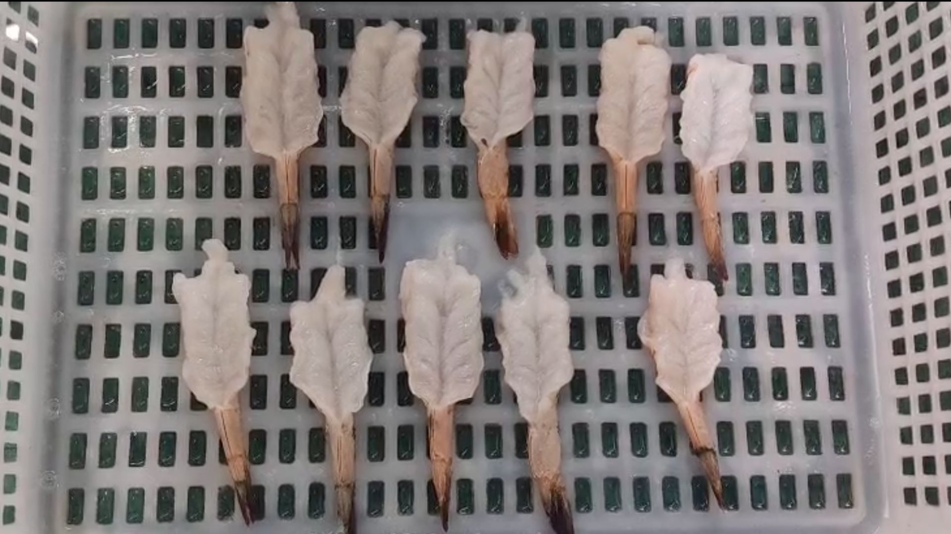 Машина чистки морской креветки VFFX-HB320 (пр-во Китай), (ООО 