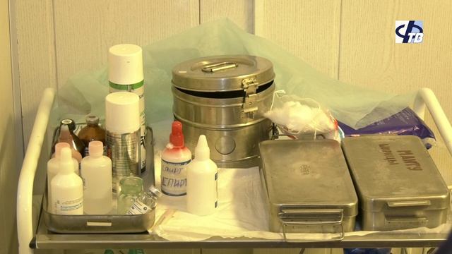 25 апреля ветеринарные врачи по всему миру отмечают свой профессиональный праздник