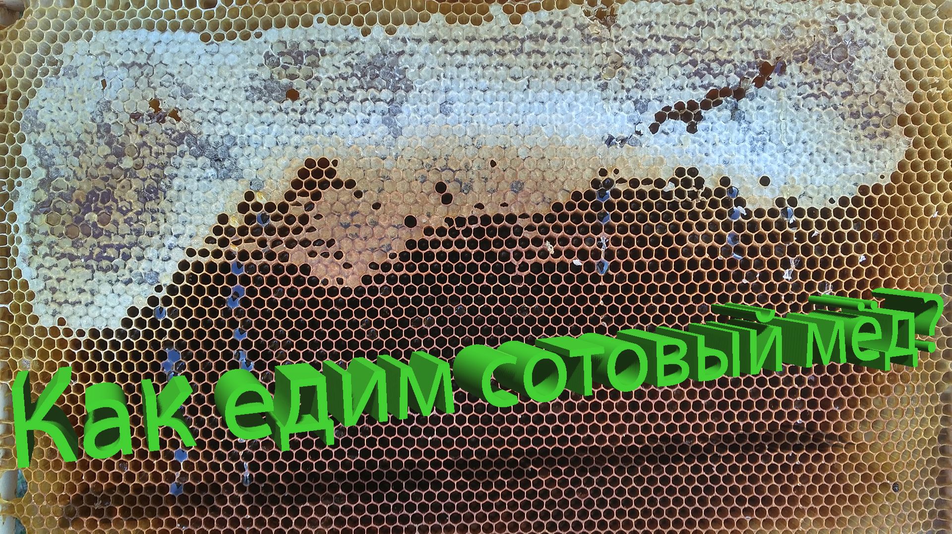 Что происходит в организме, когда мы едим сотовый мёд или забрус? Отвечает профессор Кашковский 🍯🐝