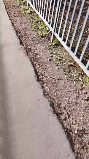 гуляем идём в парк