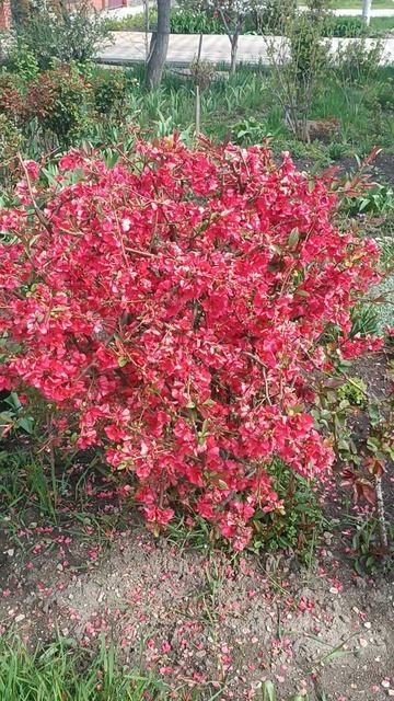 Красота природы