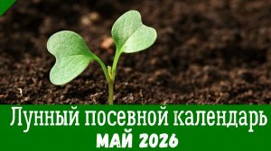 Лунный ПОСЕВНОЙ КАЛЕНДАРЬ НА МАЙ 2026 года. Что и когда нужно посеять в мае 2026 года