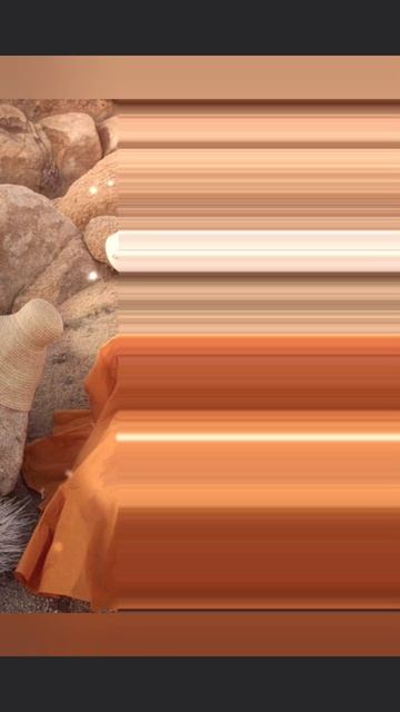 Оранжевый рай🧡🏵️