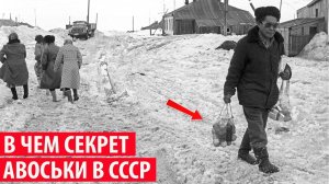 Почему в СССР были так популярны авоськи