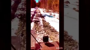 ЛЕГЕНДЫ МАЛАХА !
НЕНОРМ ЛЕКС. !!!
автор АЛЕКС !