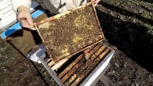 22 апреля. ВЫПАЛ ТЕПЛЫЙ ДЕНЁК надо успеть