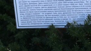 84)D ВОРОНЦОВЫЙ ДВОРЕЦ НАРУЖУ ТЕРРИТОРИЯ