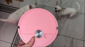 Мини пылесос - маленький помощник.